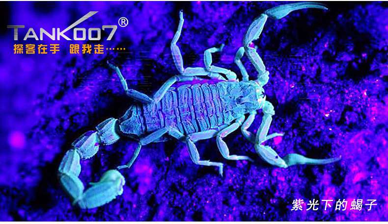 1491528804160383.jpg tk-566_13.jpg